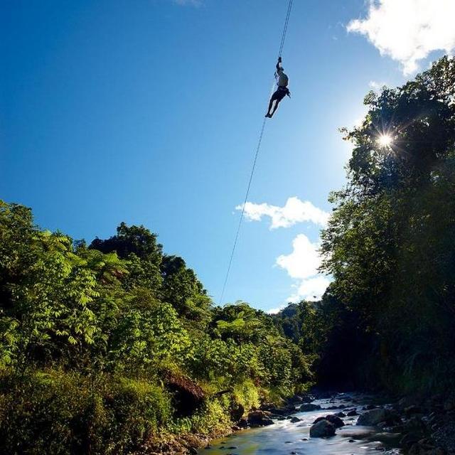 Zip Lining in Nadi