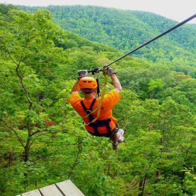 Ziplining Adventure