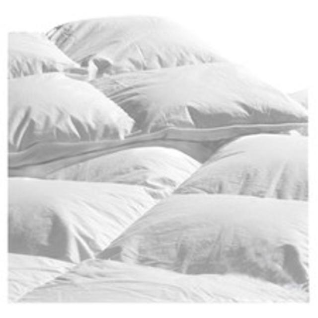 West Elm Down Duvet Insert ( California King)