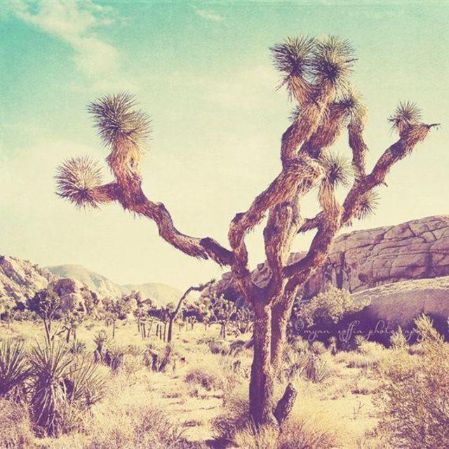 Palm Springs Weekend