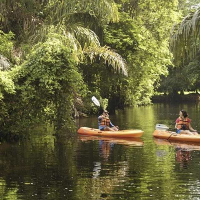 Honeymoon - Kayaking in Tortuguero