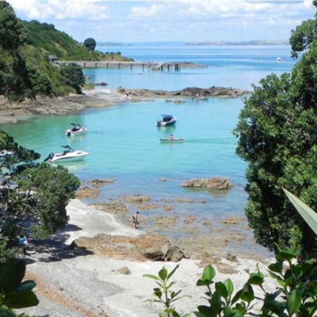Tiritiri Matangi Island Tour
