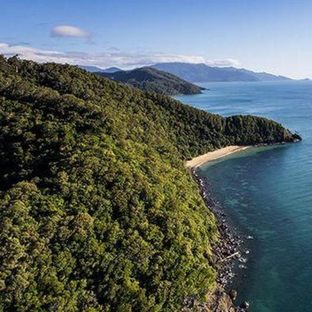 Daintree Rainforest Tour
