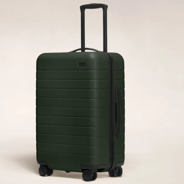 The Bigger Carry-On Green
