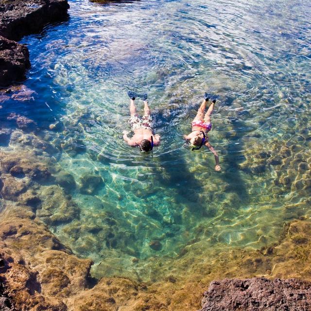 Snorkeling Adventure!