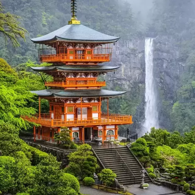 Japan Honeymoon
