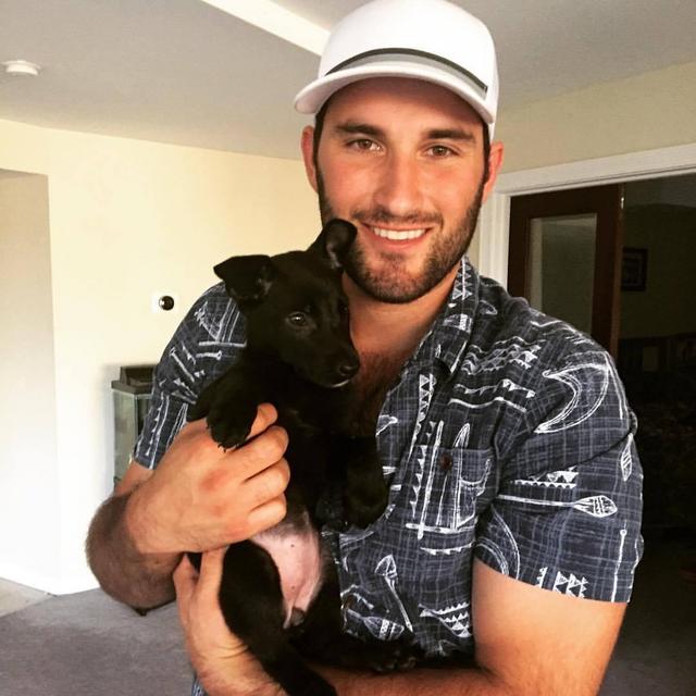 Dog Sitter for Bailey