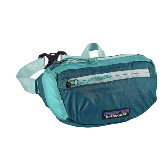 Patagonia Lightweight Travel Mini Hip Pack 1L