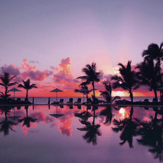 Honeymoon Excursions~ Punta Cana