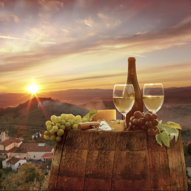 Private Wine Tour around Chianti