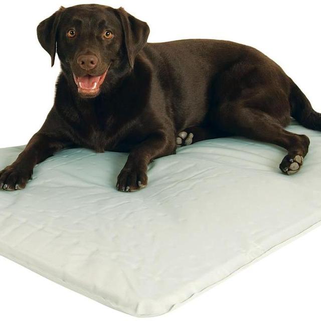 K&H Pet Products Cool Bed III - Gray - Large