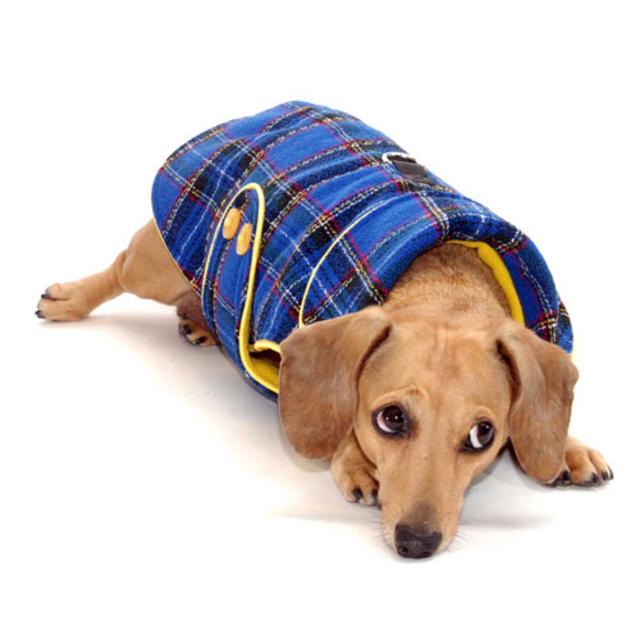 Royal Plaid Dachshund Coat (Reversible)