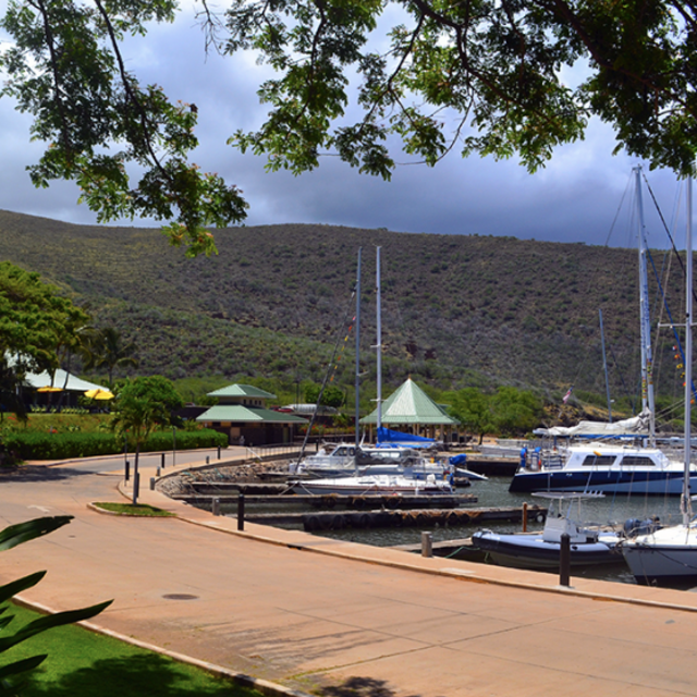 Transportation to Manele Harbor