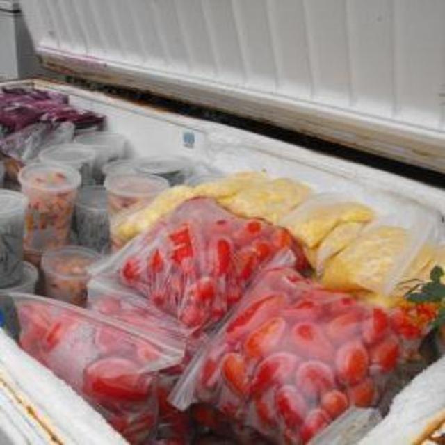 Chest Freezer