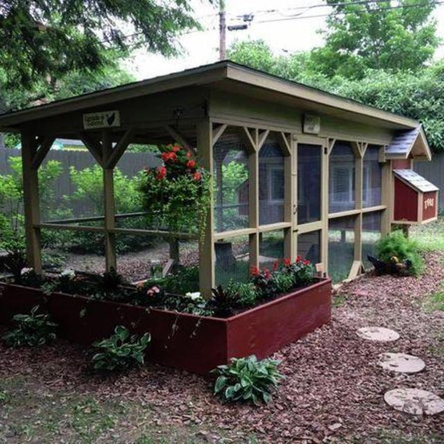 Chicken Coop