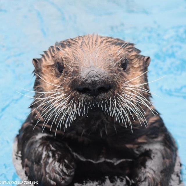 Visit to Alaska Sealife Center