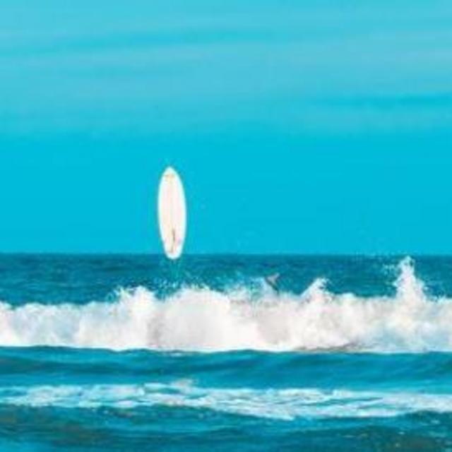 Don't Buy This (Surf Lessons for Emily)