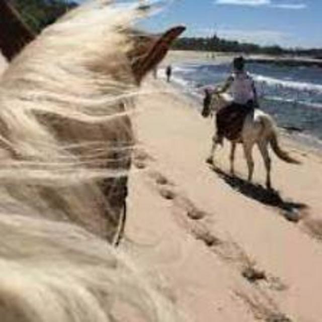 Bonnie Rides a Horse