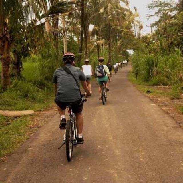 Cycling Tour