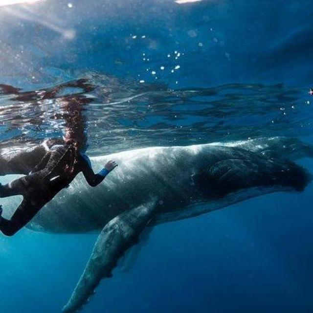 Ocean Wildlife Half Day Expedition for 2