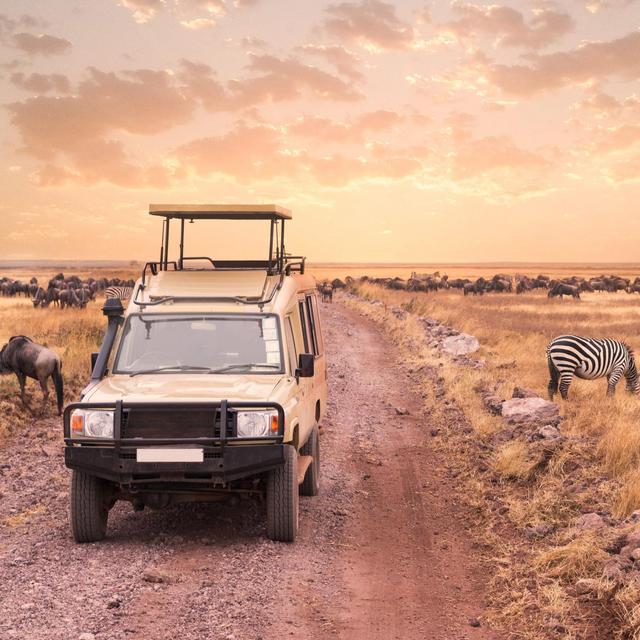 African Safari