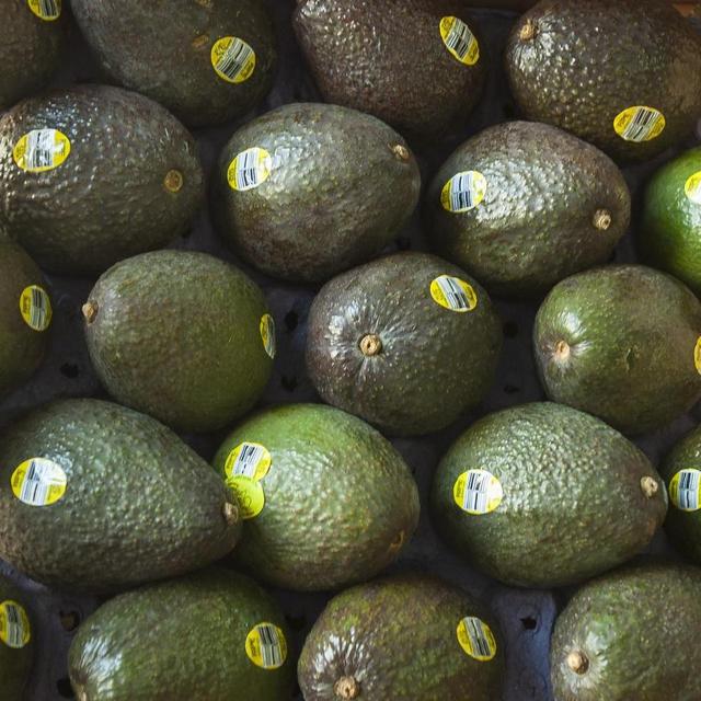 Lifetime Supply of Avocados