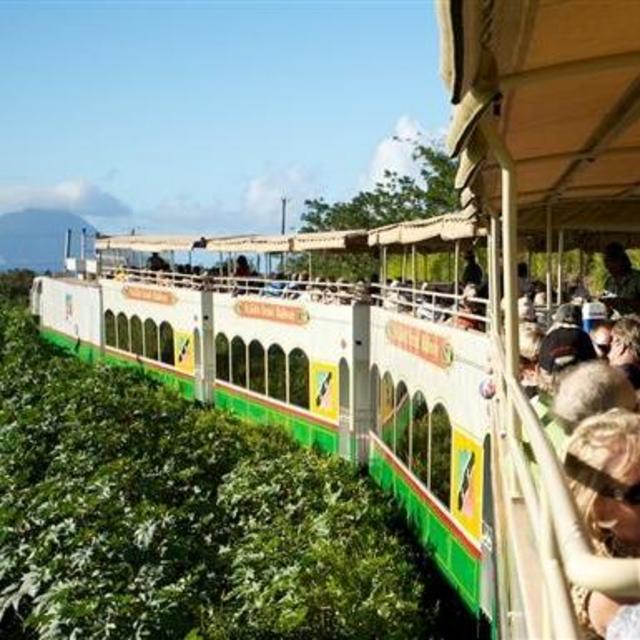 Honeymoon Train Ride in St. Kitts