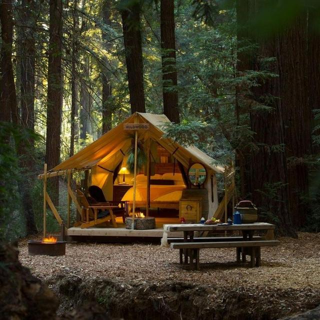 National Park Roadtrip