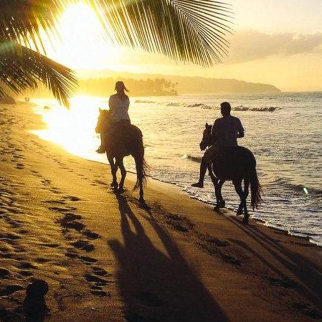 Horseback Riding