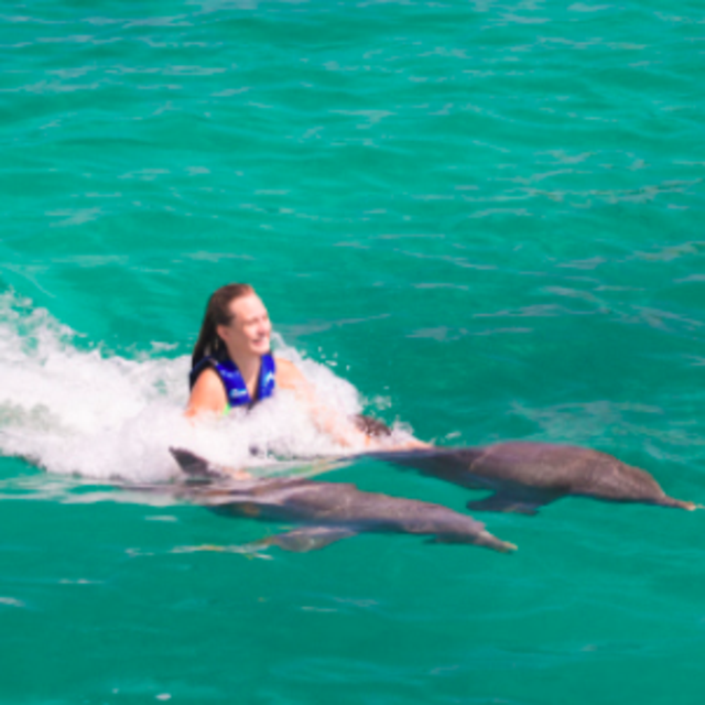 Swimming with Dolphins
