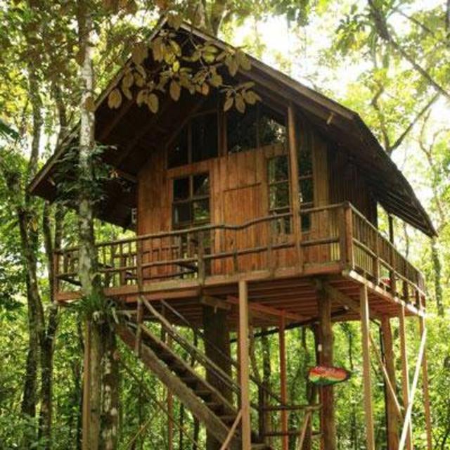 Stay in Costa Rica Treehouse (One Night)