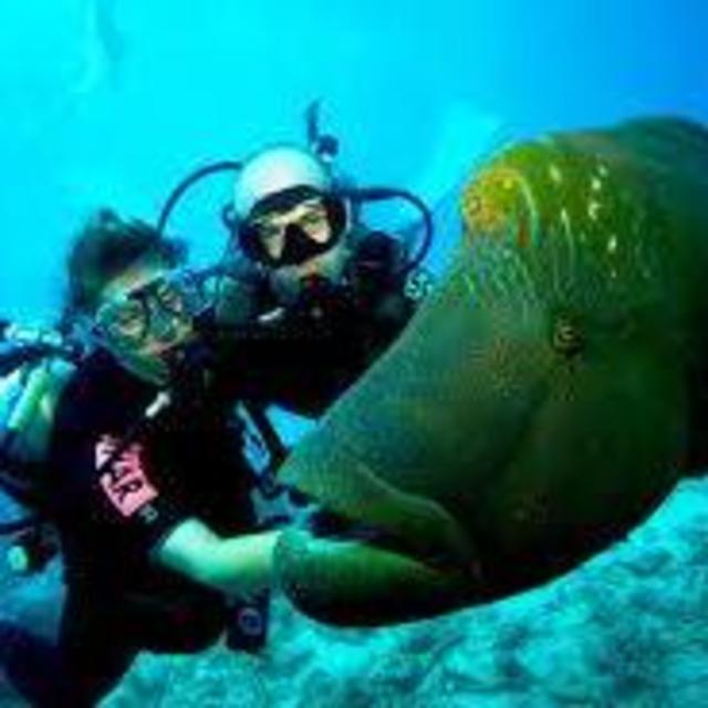 Scuba Dive Bats Island in Costa Rica for 2