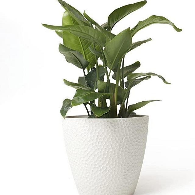 Outdoor Indoor Tree Planters - 14 Inch Large Planter Flower Pots Containers, Plant Pots, White, Honeycomb