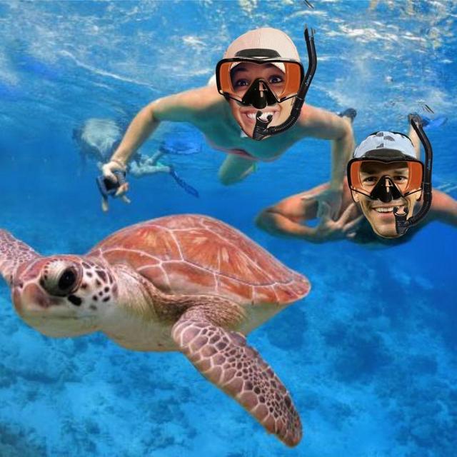 Turtle Snorkeling