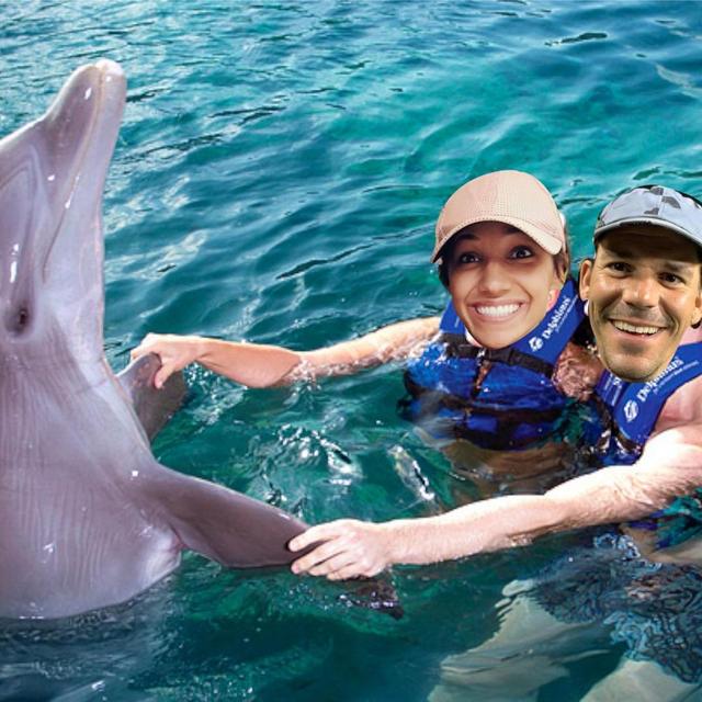Dolphin Excursion