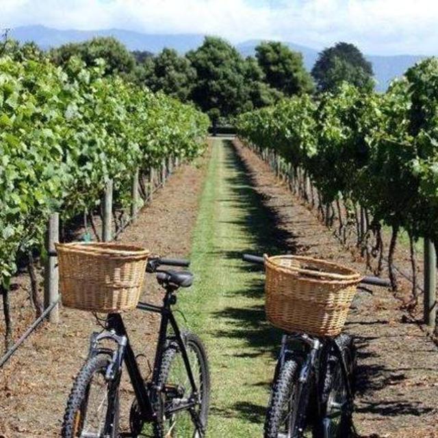 E-Bike Vineyard Tour from Nice