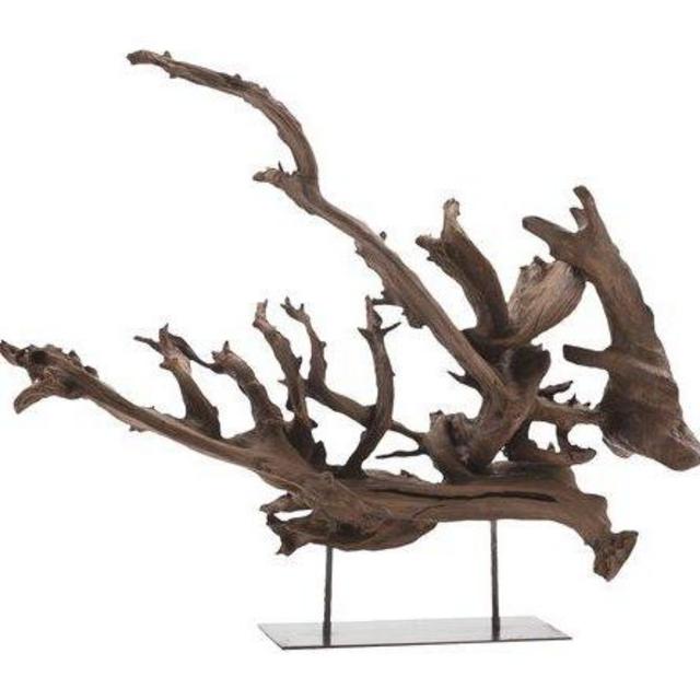 Kazu Dragon Tree Root Sculpture