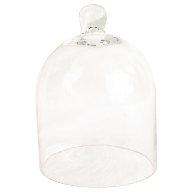 Glass Dome - Medium