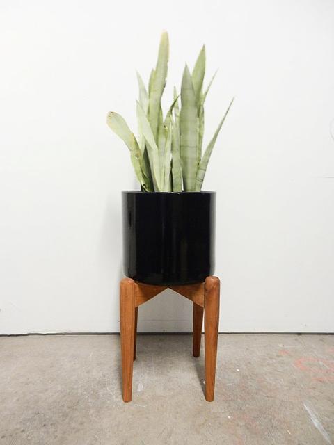 Modern Plant Stand / The HIGH RISE / Planter Pot Stand / Elongated