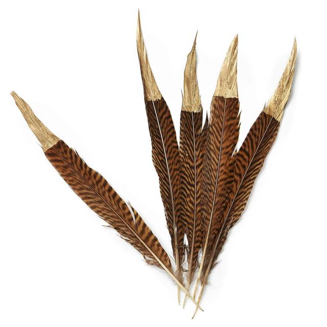 S/5 Pheasant Tail Feathers w/ Gold
