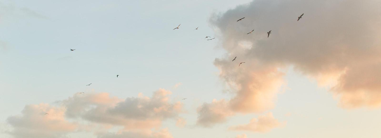 Ayala Sherman and Brian Parker's Wedding Registry on Zola, image size:1600x580