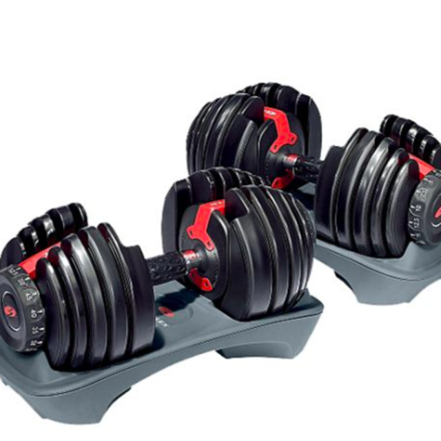 Bowflex SelectTech 552 Dumbbells
