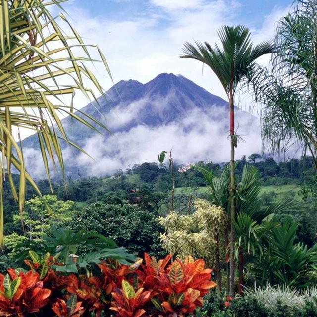 Costa Rican Honeymoon Fund