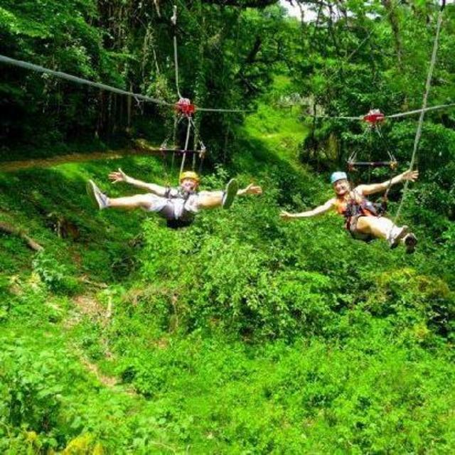 Ziplining Excursion