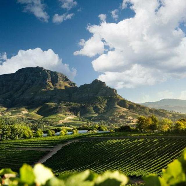 Wine Tour in Franschhoek (Wine Region), South Africa