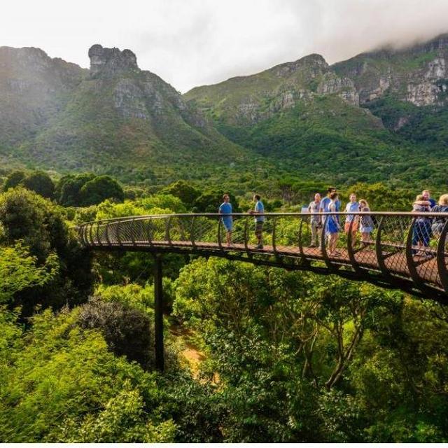 Kirstenbosch Gardens, Cape Town