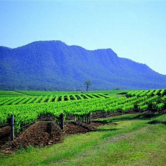 Wine Tour in the Hunter Valley