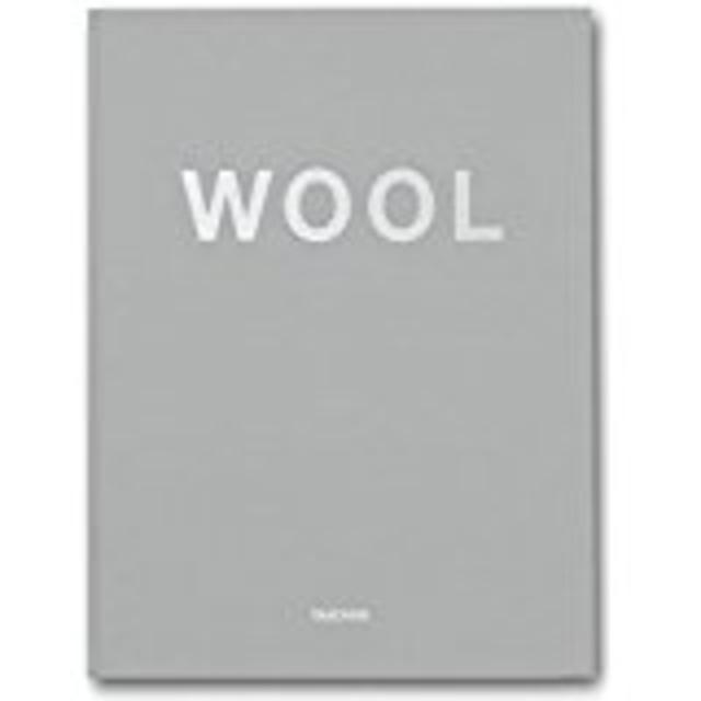 Christopher Wool (2008-11-27) (Hardcover)