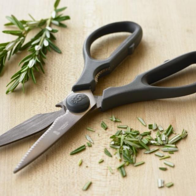 Titanium Kitchen Shears