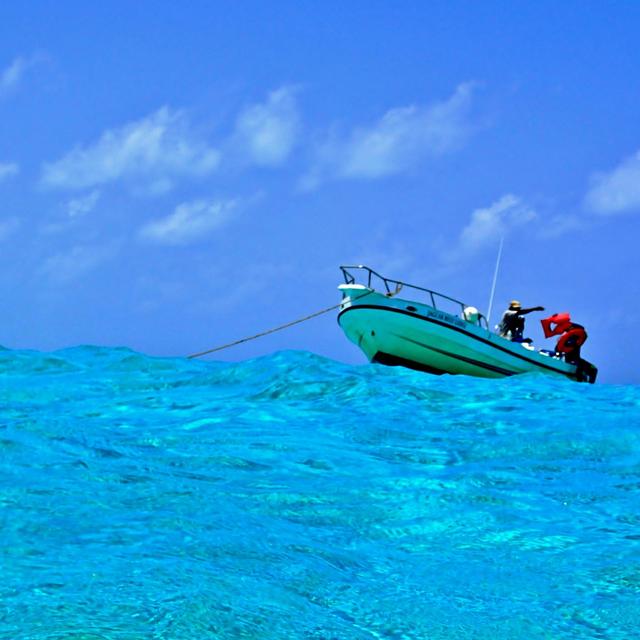 Snorkeling in Belize